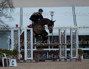 Quality Tosc Tour2013- S5 1864 : Arezzo, Cavalli d'Italia, Quality Up, Toscana Tour 2013, foto di Stefano Secchi ©